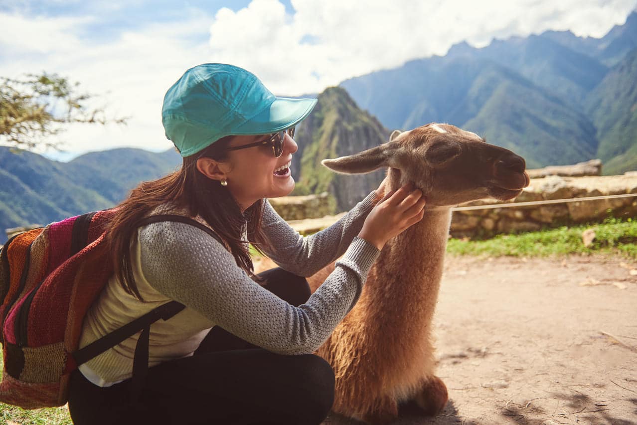 Woman petting a llama with scenic mountain background
