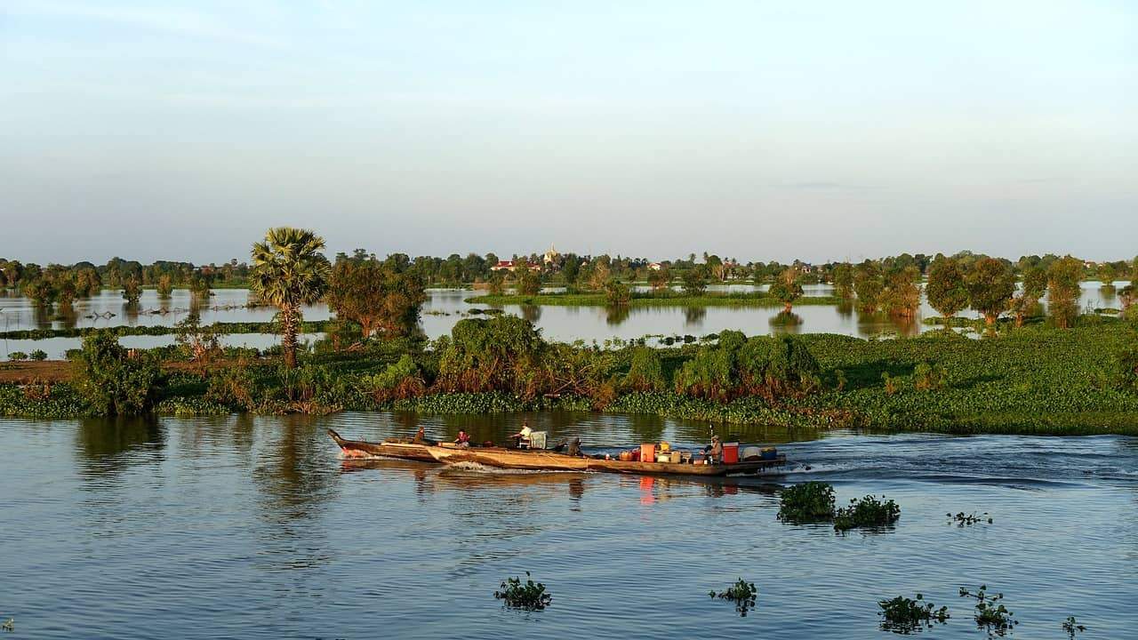 Small boat on a calm river near trees