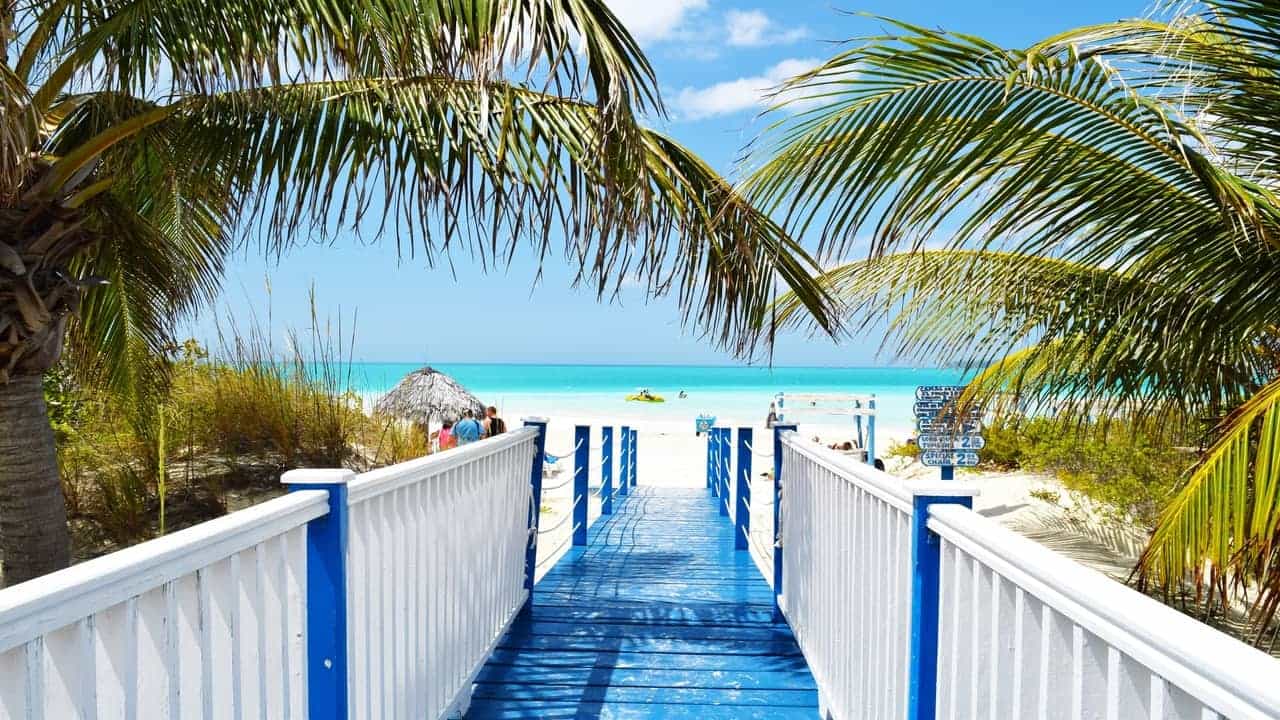 Palm trees and wooden walkway leading to beach