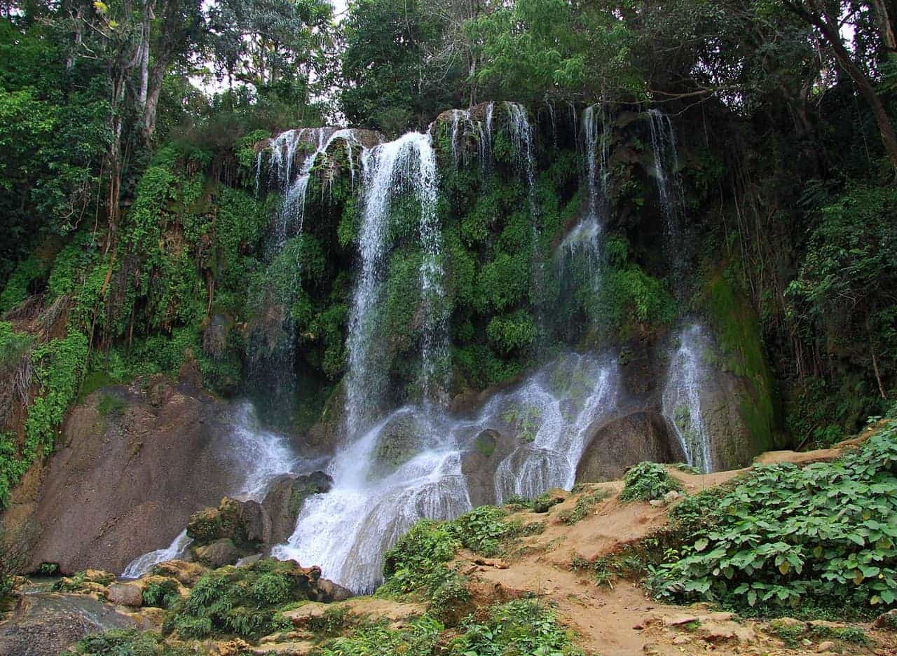 Cascading waterfall surrounded by lush greenery