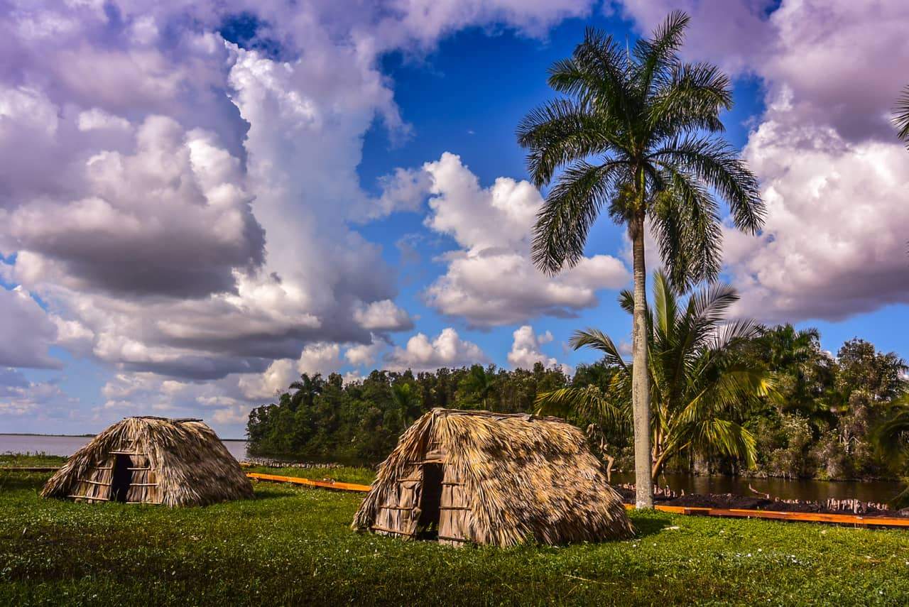 Traditional thatched huts with palm trees nearby