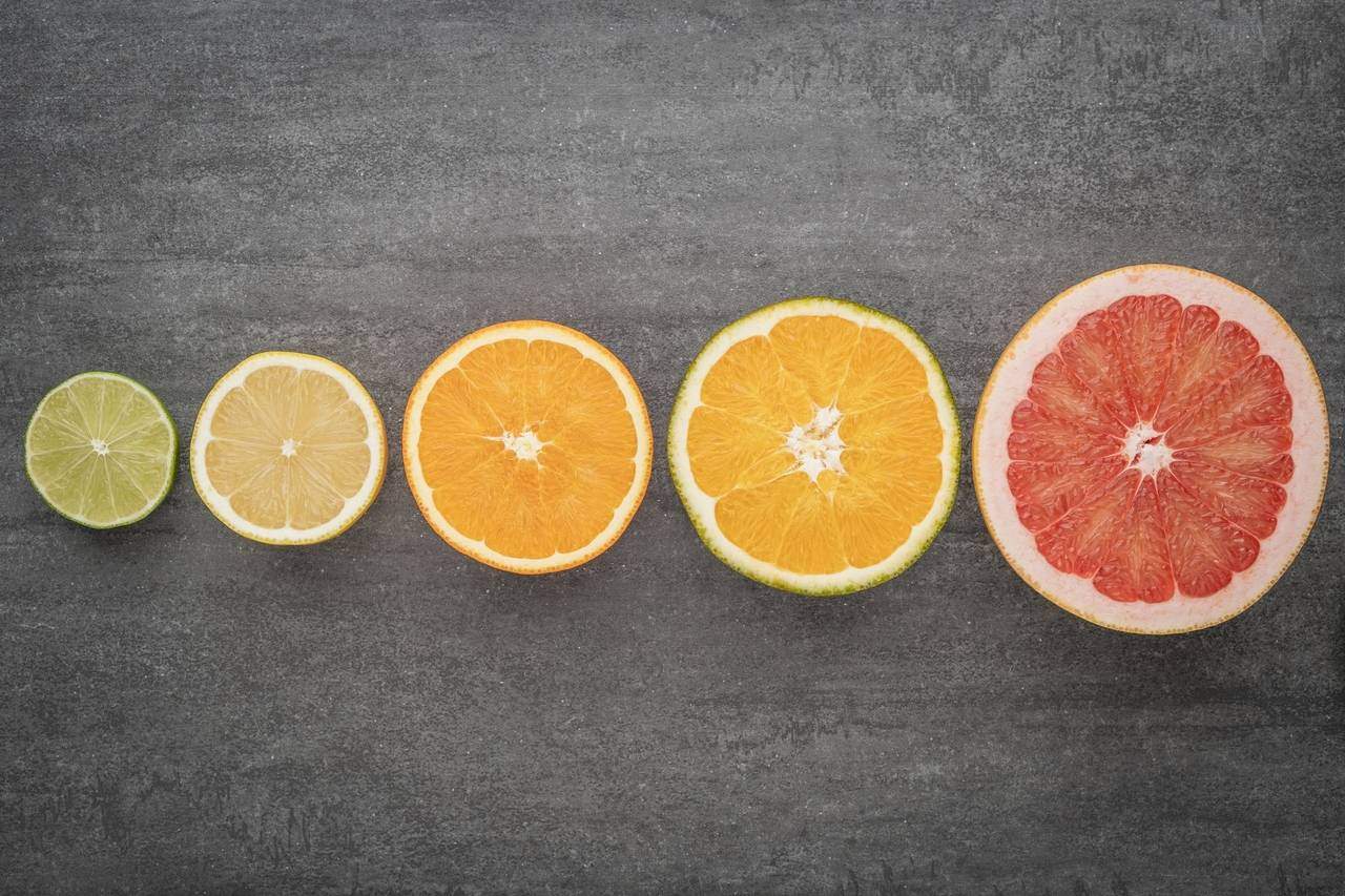 Slices of lime lemon orange and grapefruit in a row