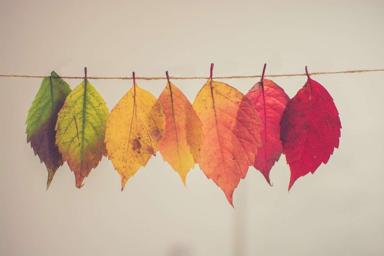 Colorful autumn leaves hanging on a string in a row