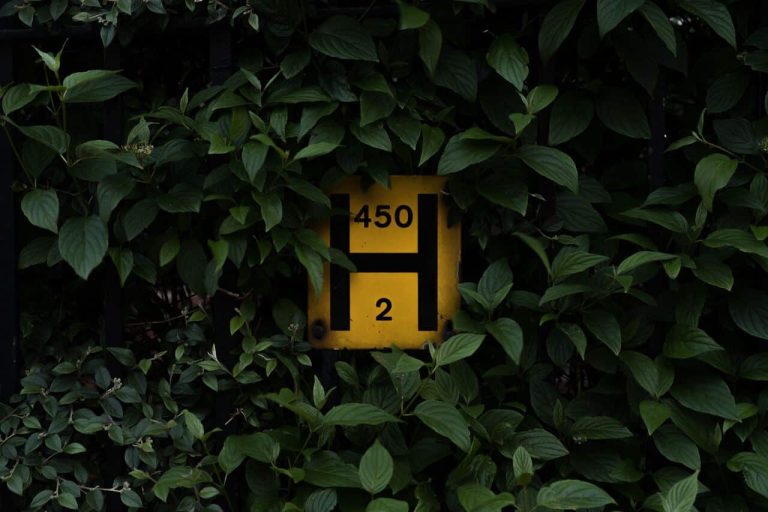 Yellow "H 450 2" sign surrounded by green leaves