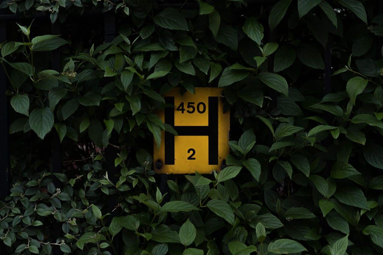 Yellow "H 450 2" sign surrounded by green leaves