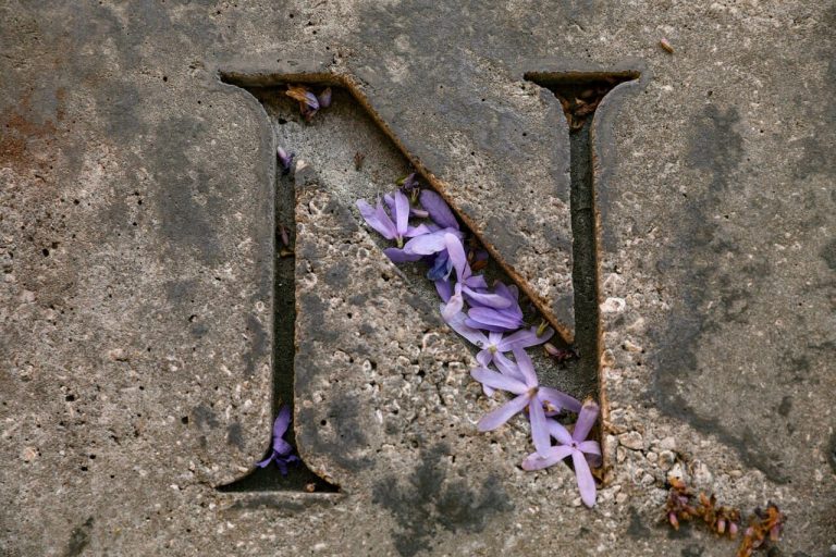 Carved stone letter "N" with purple petals scattered.