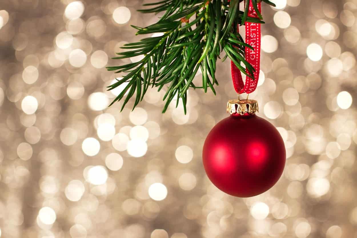 A red Christmas ornament hanging from a tree branch, set against a sparkling background.