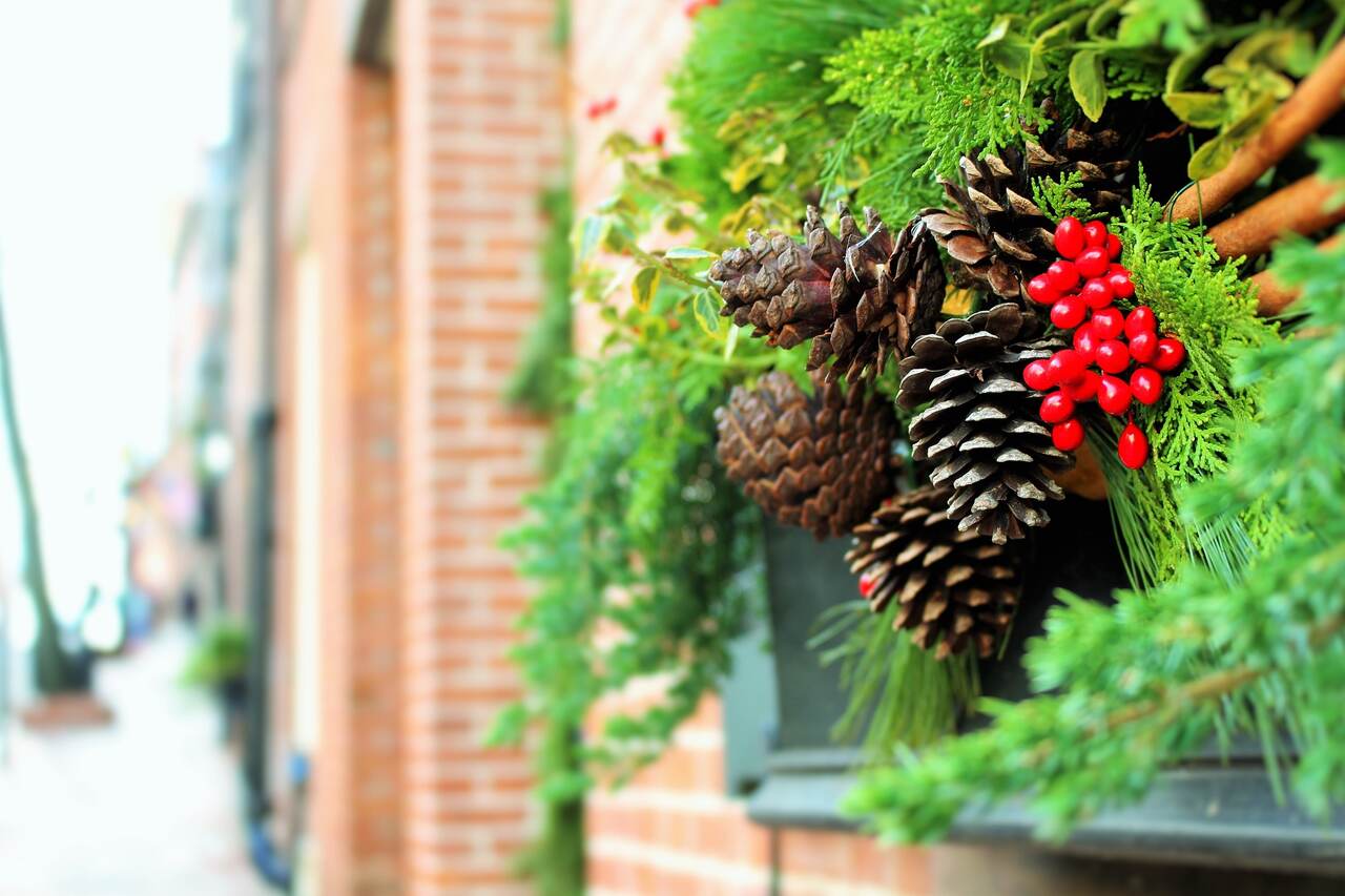 Pinecone and red berry decoration on a windowsill