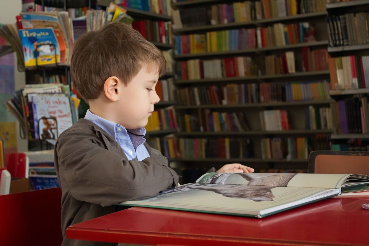 Young boy reading a picture book in library