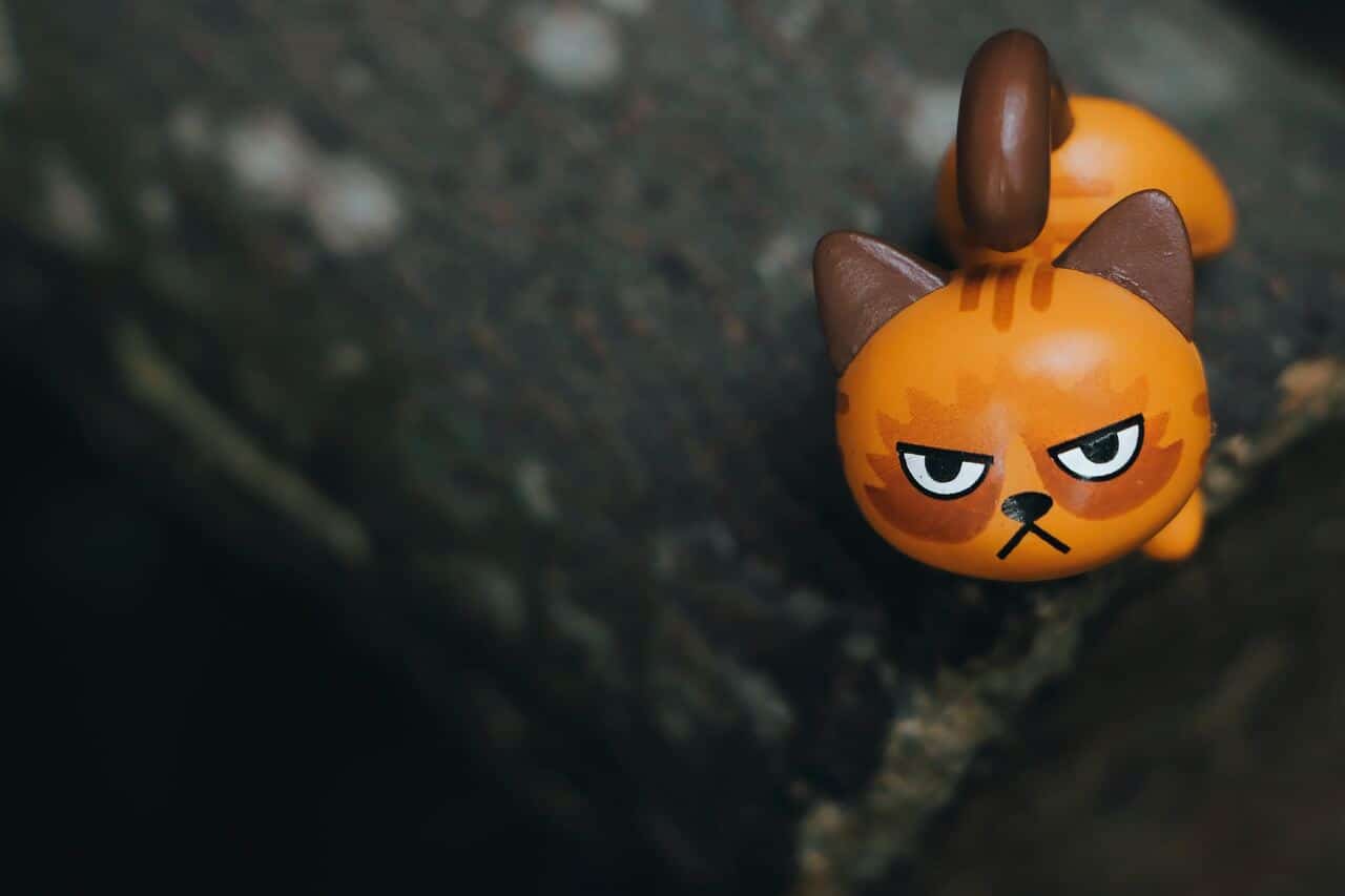 Toy cat with an angry expression